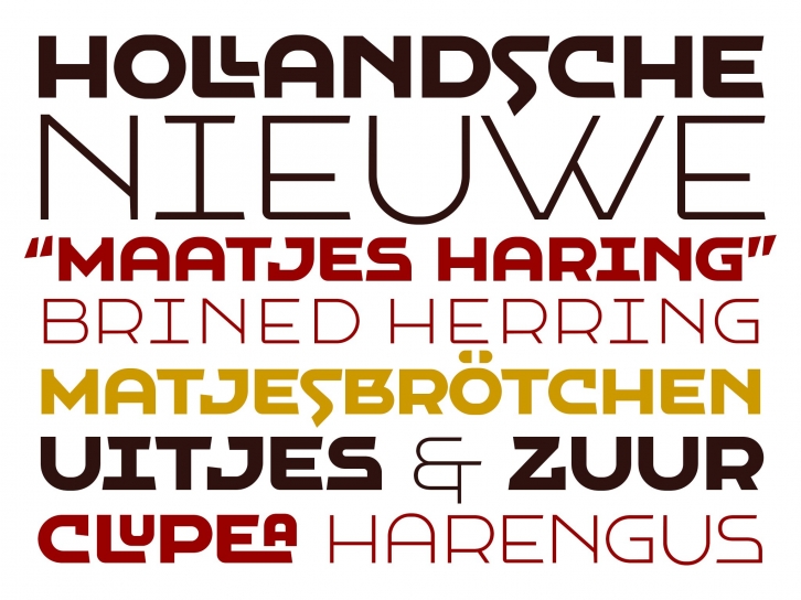 VLNL Hollandsche Nieuwe Font Download