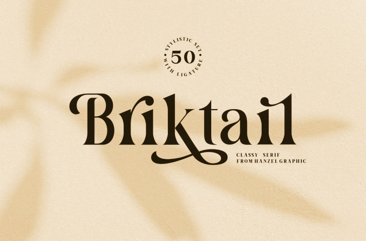 Briktail//Modern Serif Font Download