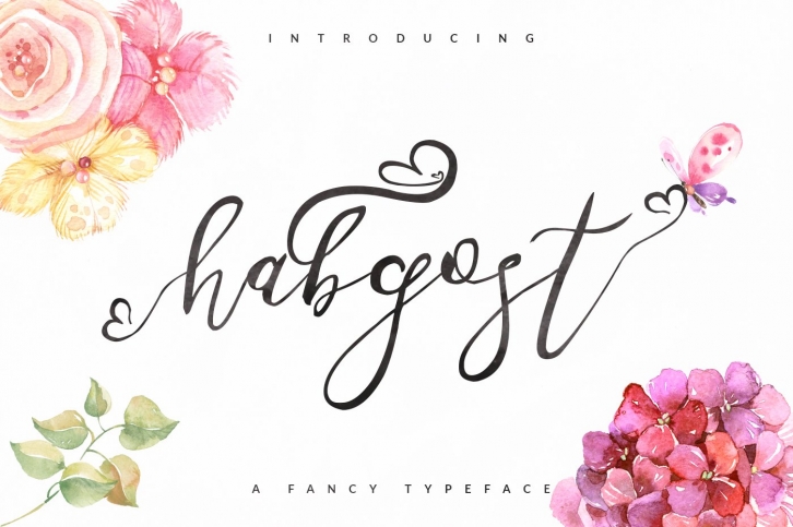 Habgost Script Font Download