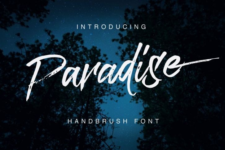 Paradise Typeface Font Download
