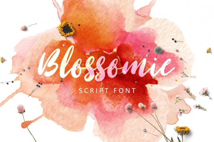 Blossomie Script Font Download