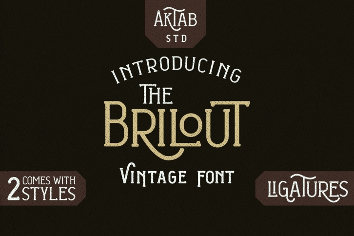 Brilout Display Font Download