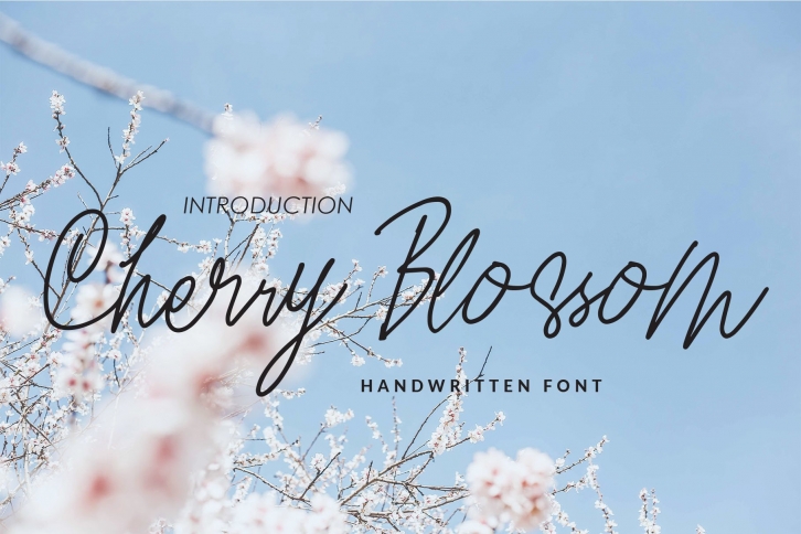 Cherry Blossom Font Download