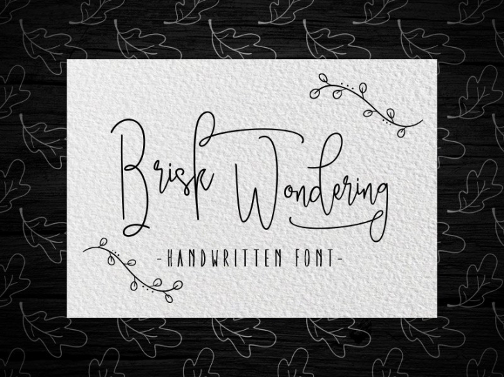 Brisk wondering Handwritten Font Download