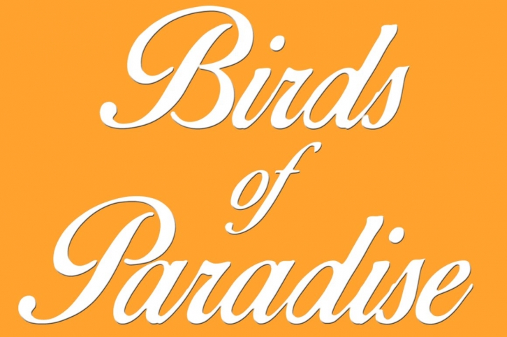 Birds of Paradise © Font Download