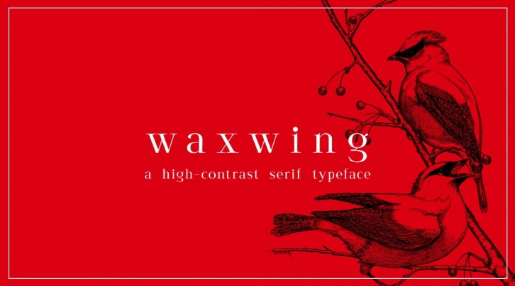 waxwing serif font Font Download