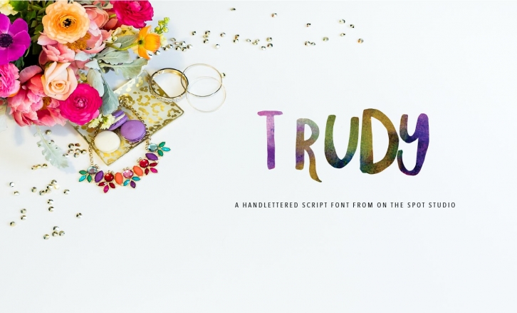 Trudy Hand Brushed Font Download