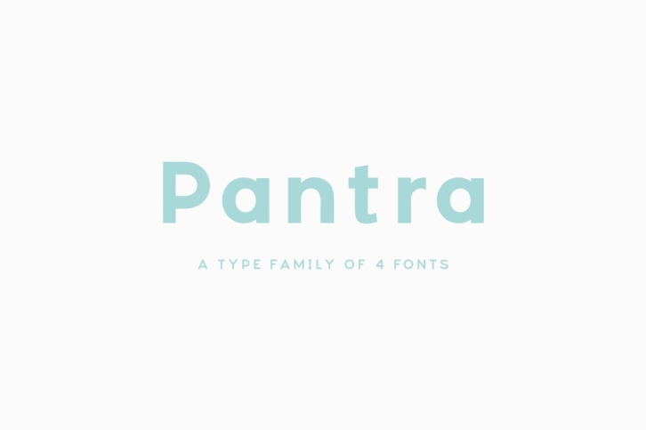 Pantra Type Family Font Download