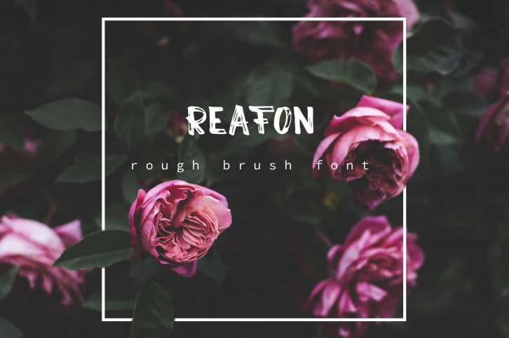 Reafon. Brush Font Download