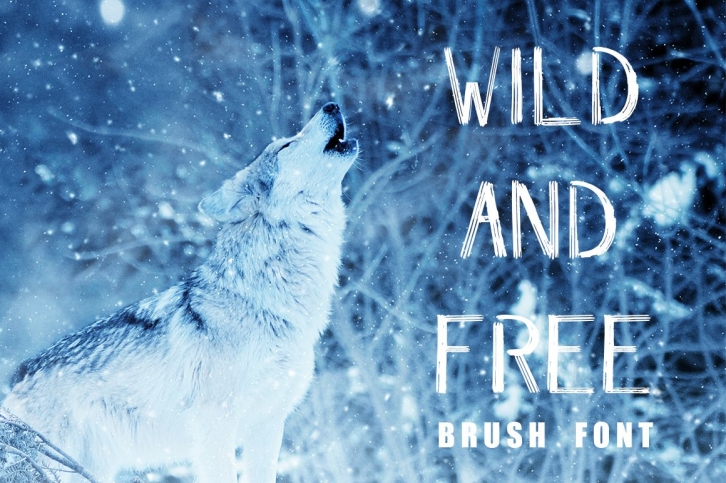 WILD  FREE Brush Font Download