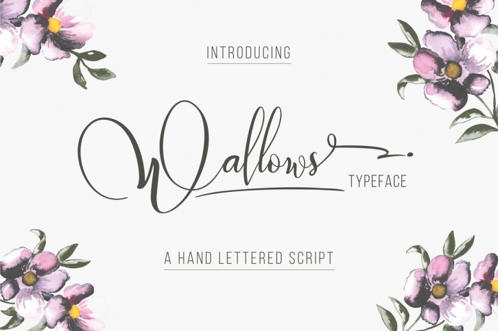 Wallows Typeface Font Download