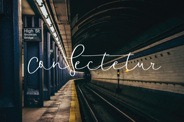 consectetur font Font Download