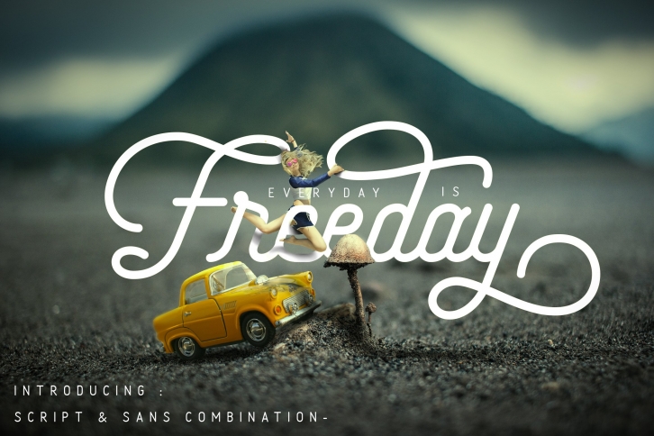 Freeday Script  Sans Font Download