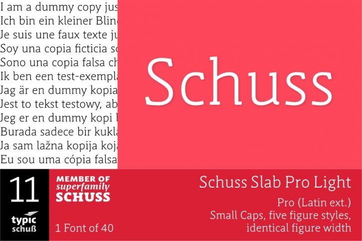 SchussSlabProLight No.11 (1) Font Download