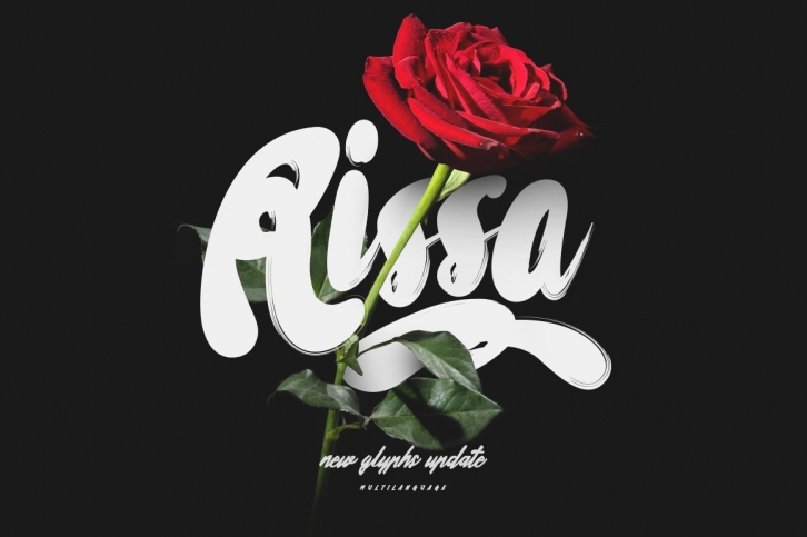 Rissa Typeface + Swashes (Update) Font Download