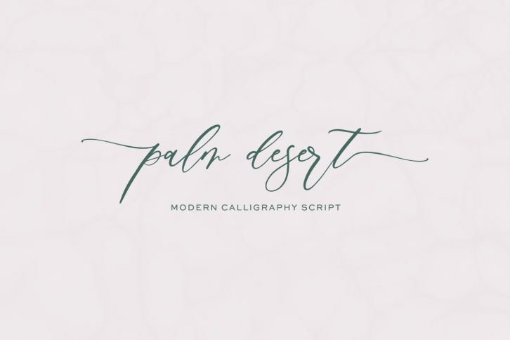 Palm Desert Modern Calligraphy Font Download