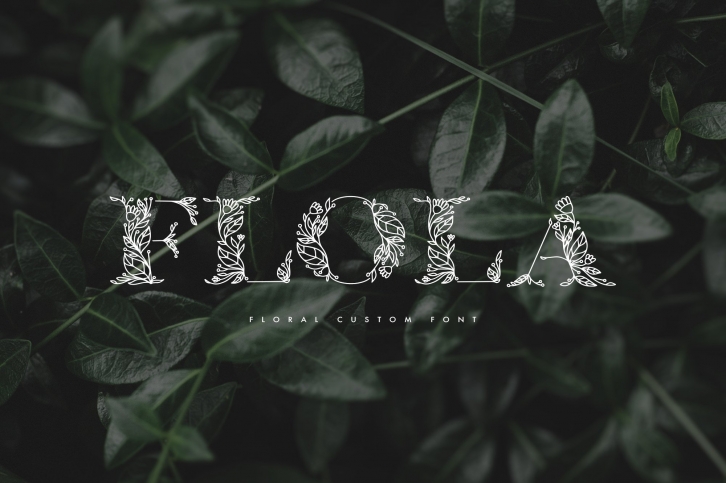 Flola Hand Drawn Font Download