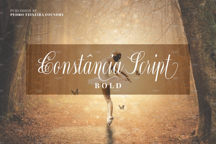 ConstÃ¢ncia Script Bold Font Download