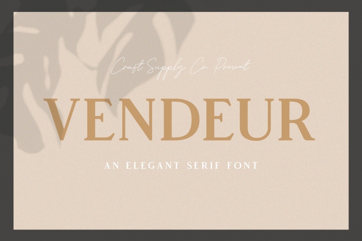 Vendeur Font Download