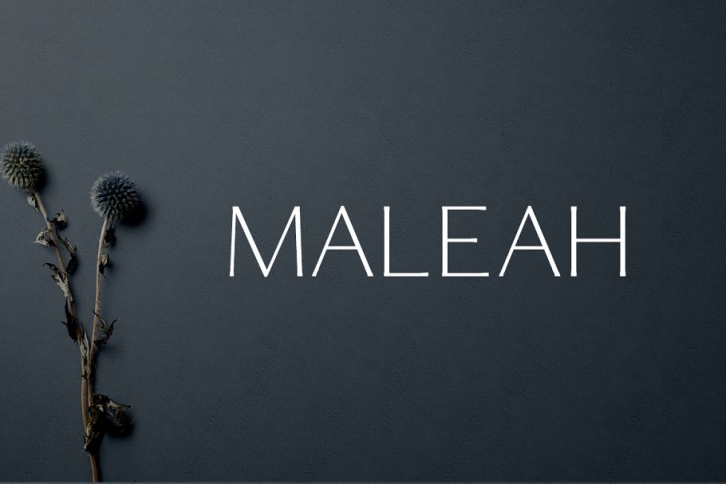 Maleah Sans Serif 4 Family Pack Font Download