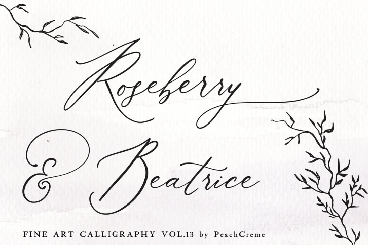 Roseberry  Beatrice Vol.13 Font Download