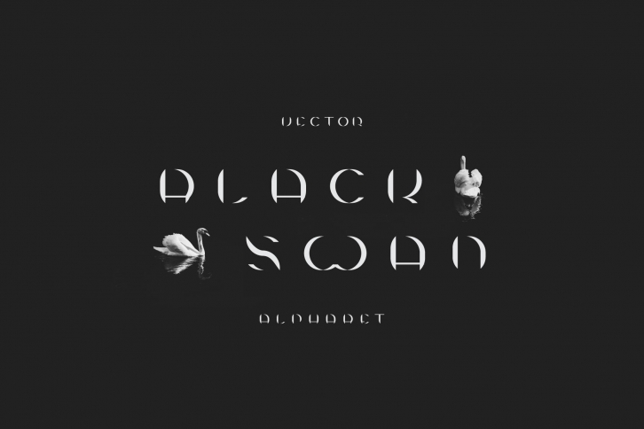Vector Alphabet. Black Swan Font Download