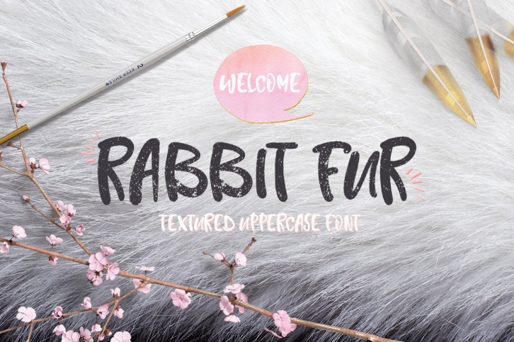 Rabbit Fur Typeface Font Download