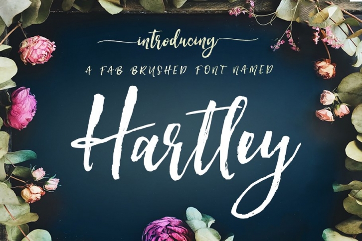 Hartley Font Download