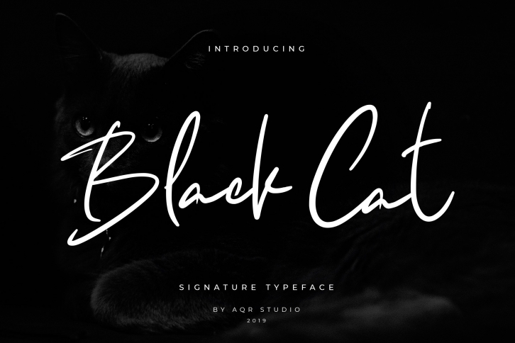 Black Cats Siganture Font Download