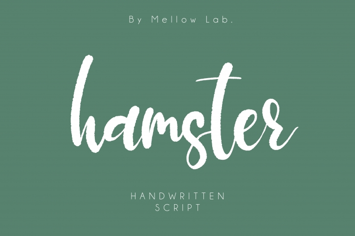 Hamster font Font Download