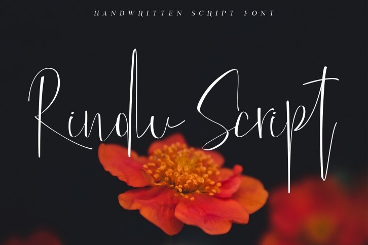Rindu Script Font Download