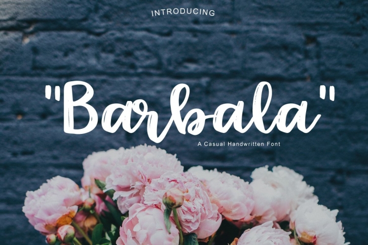 Barbala Font Download