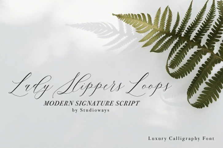 Lady Slippers Loops Font Download