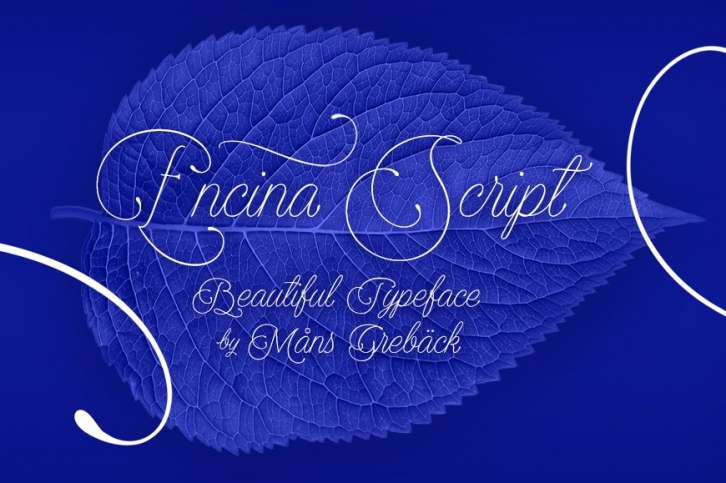 Encina Script Font Download