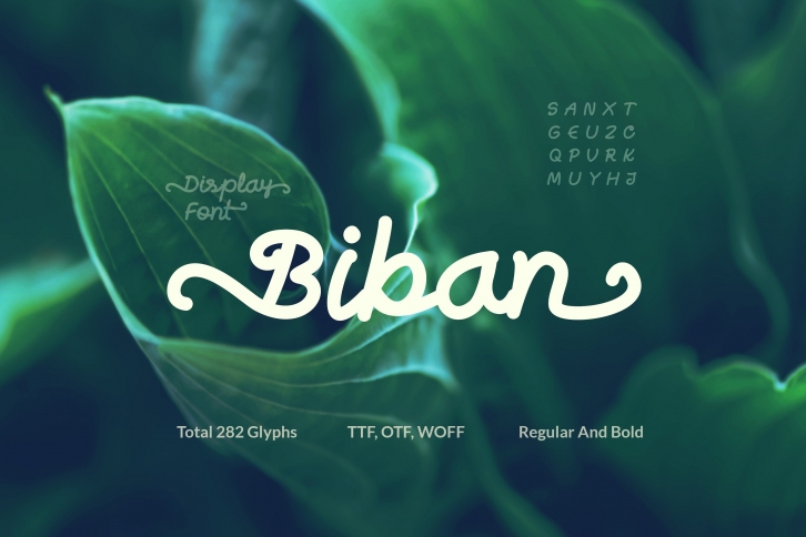 Biban Handwritten Script Font Download