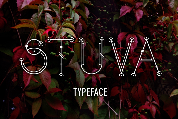 Stuva typface Font Download