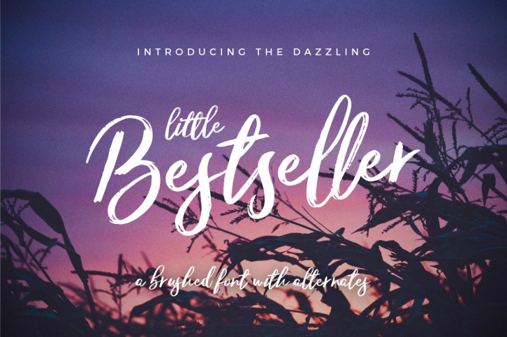 Little Bestseller Script Font Download