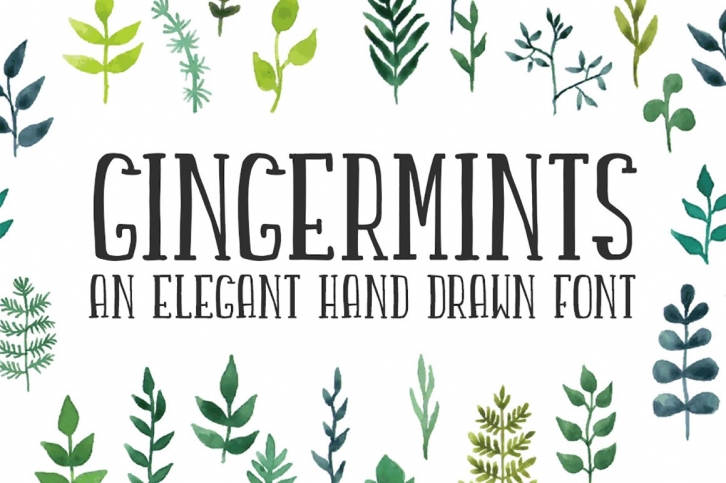 Gingermints font Font Download