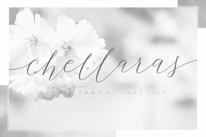 Chellaras Script Font Download