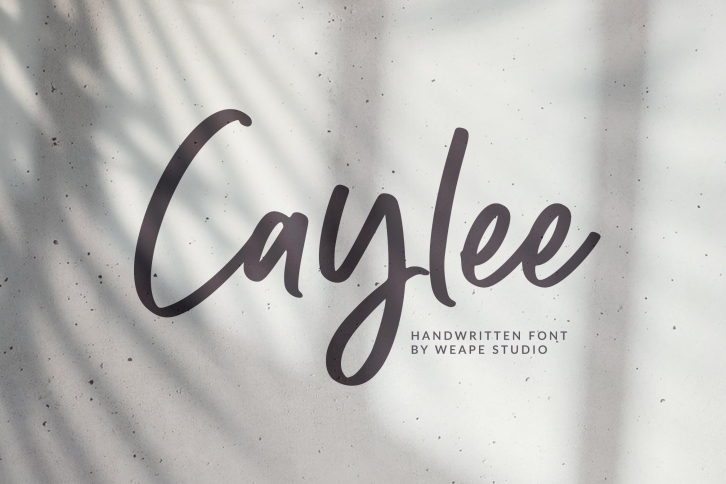 Caylee Script Font Download