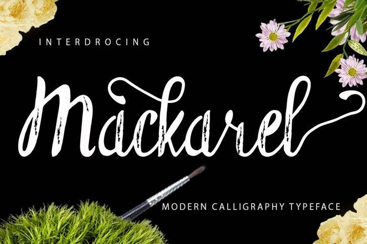 Mackarel Font Download