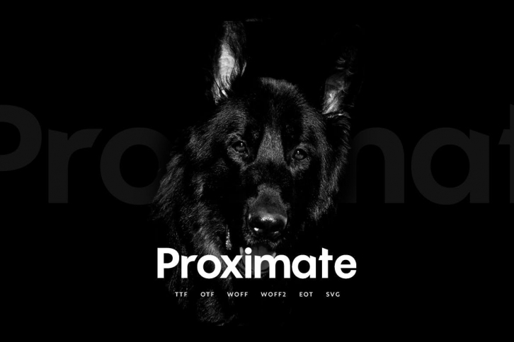 Proximate Font Download