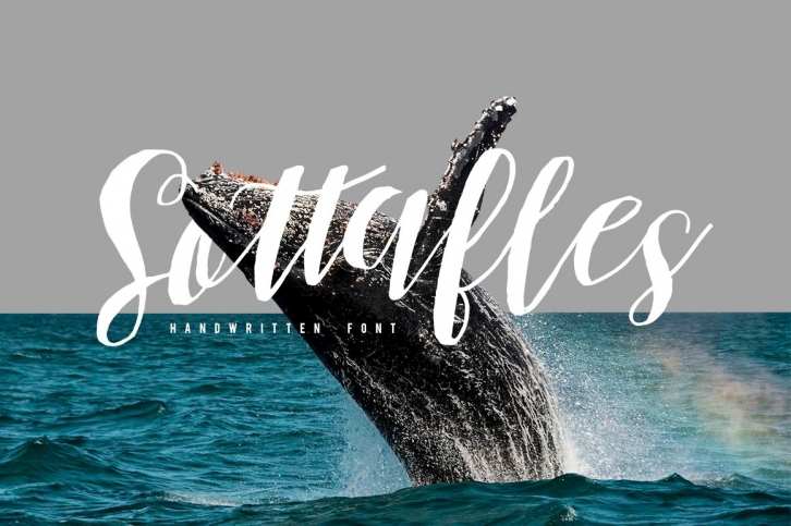 Sottafles Typeface + Swashes Font Download