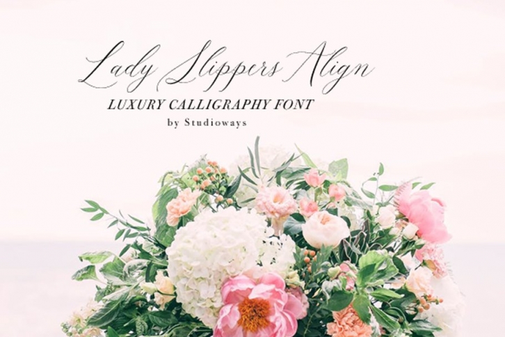 Lady Slippers Align Font Download