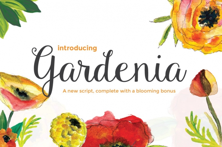 Gardenia Script + Blooming Bonus Font Download