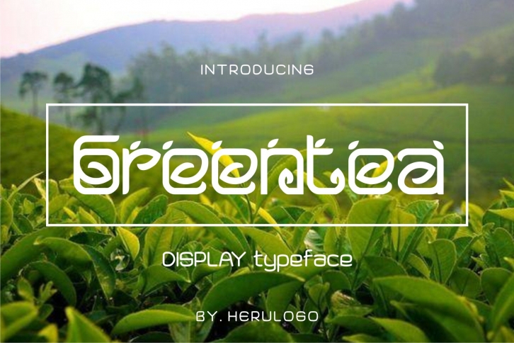 Greentea Display Typeface Font Download