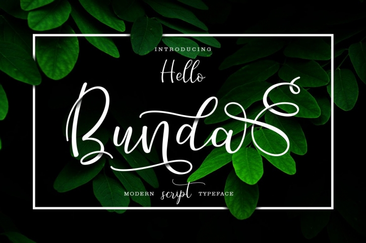 Hello Bunda Typeface Font Download