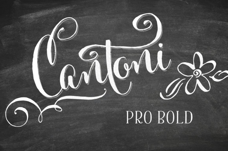 Cantoni Pro Bold Hand Lettered Font Download