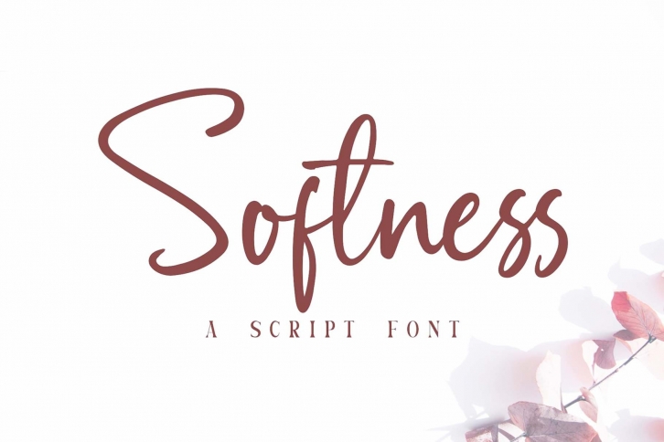 Softness//A Script Font Download