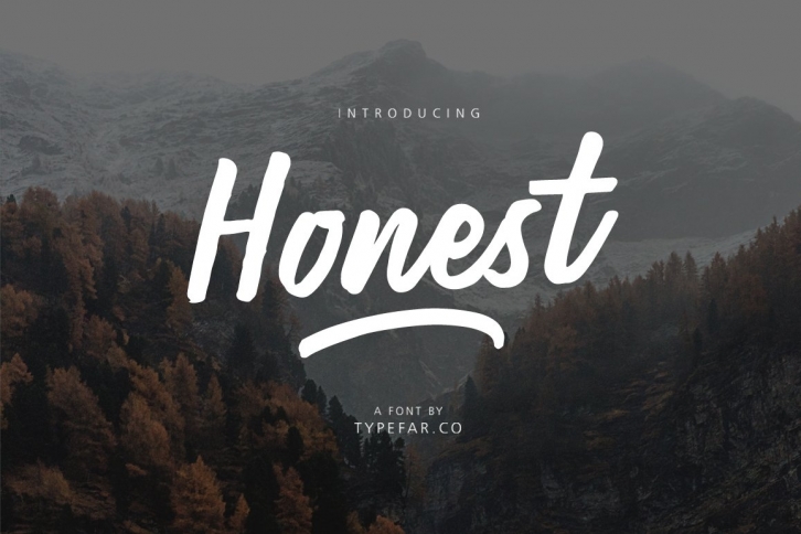 Honest Typeface Font Download